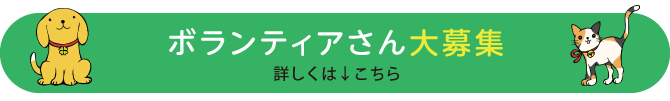 お世話ボランティアさん大募集