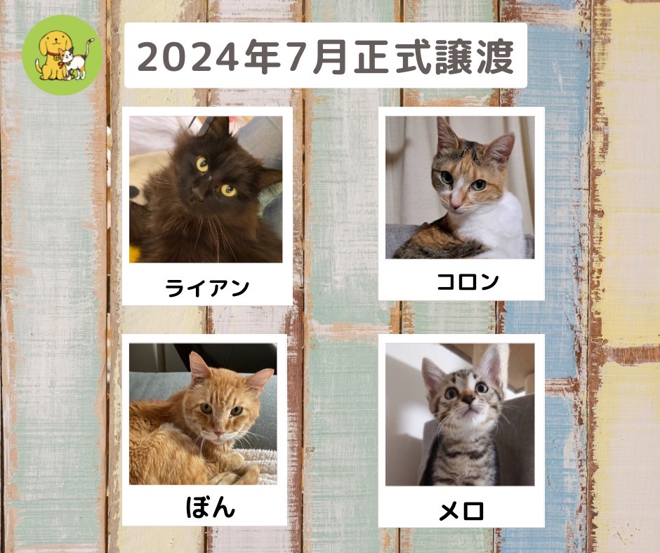 譲渡報告　２０２４年７月
