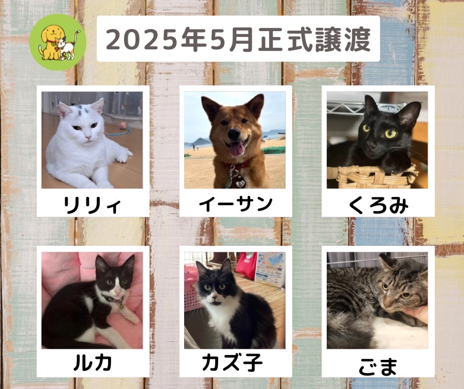 譲渡報告　2025年5月