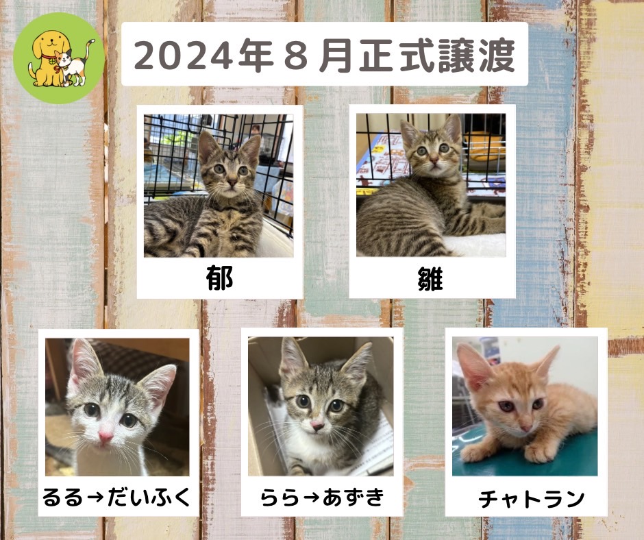 譲渡報告　２０２４年８月