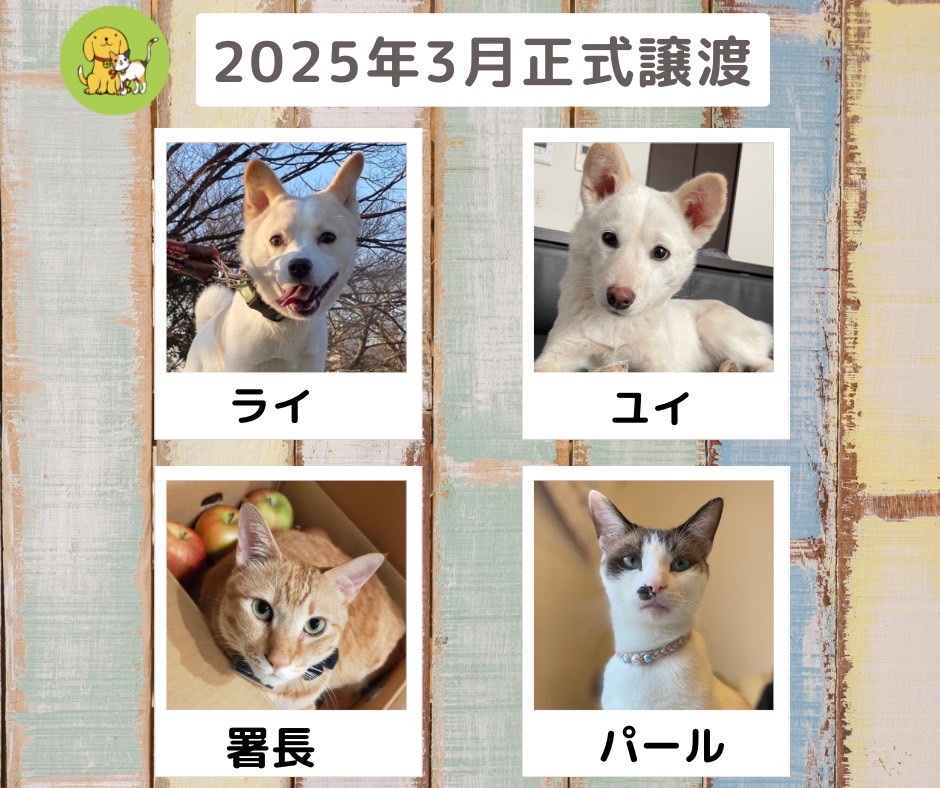 譲渡報告　2025年3月