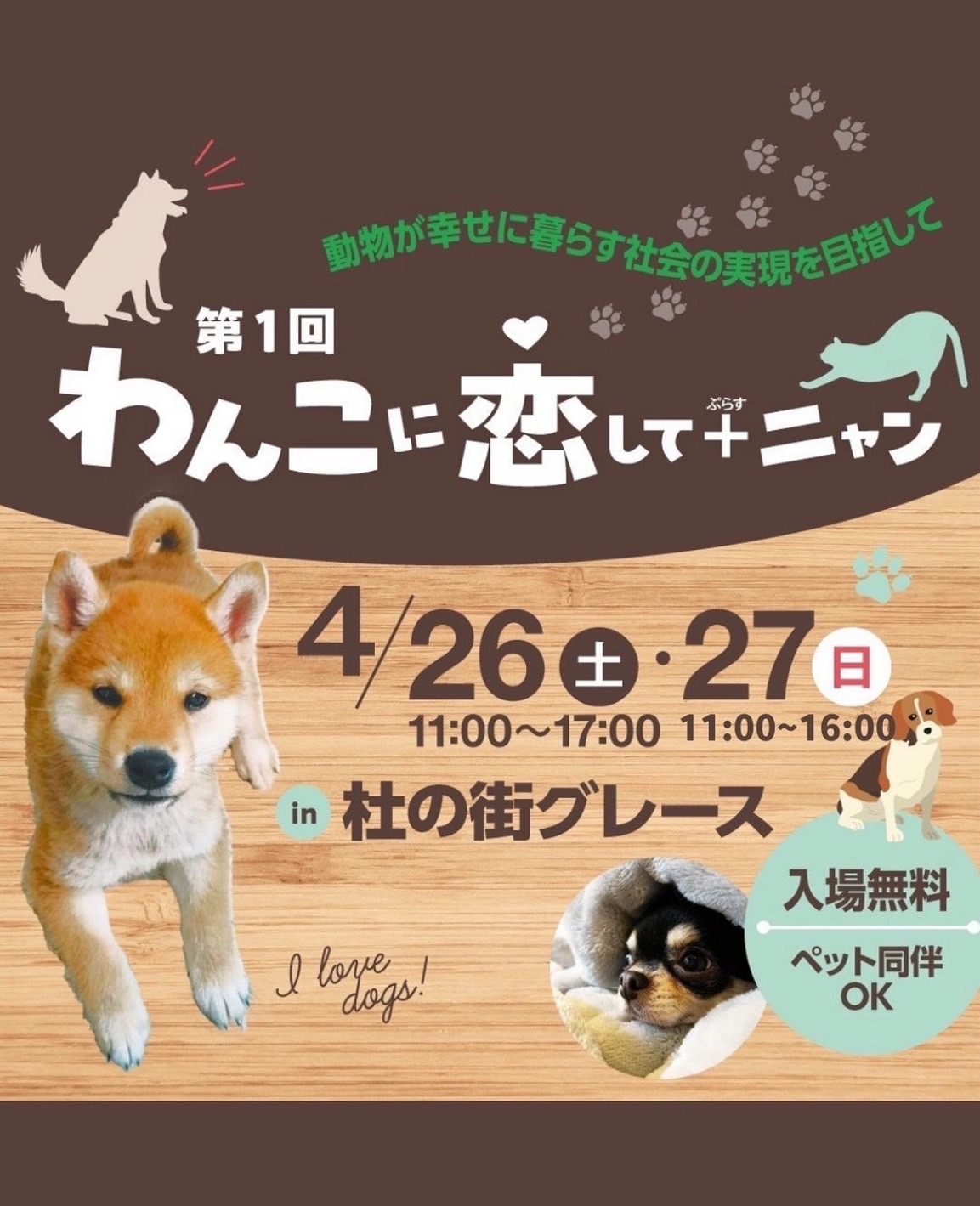 わんこに恋して+ニャン