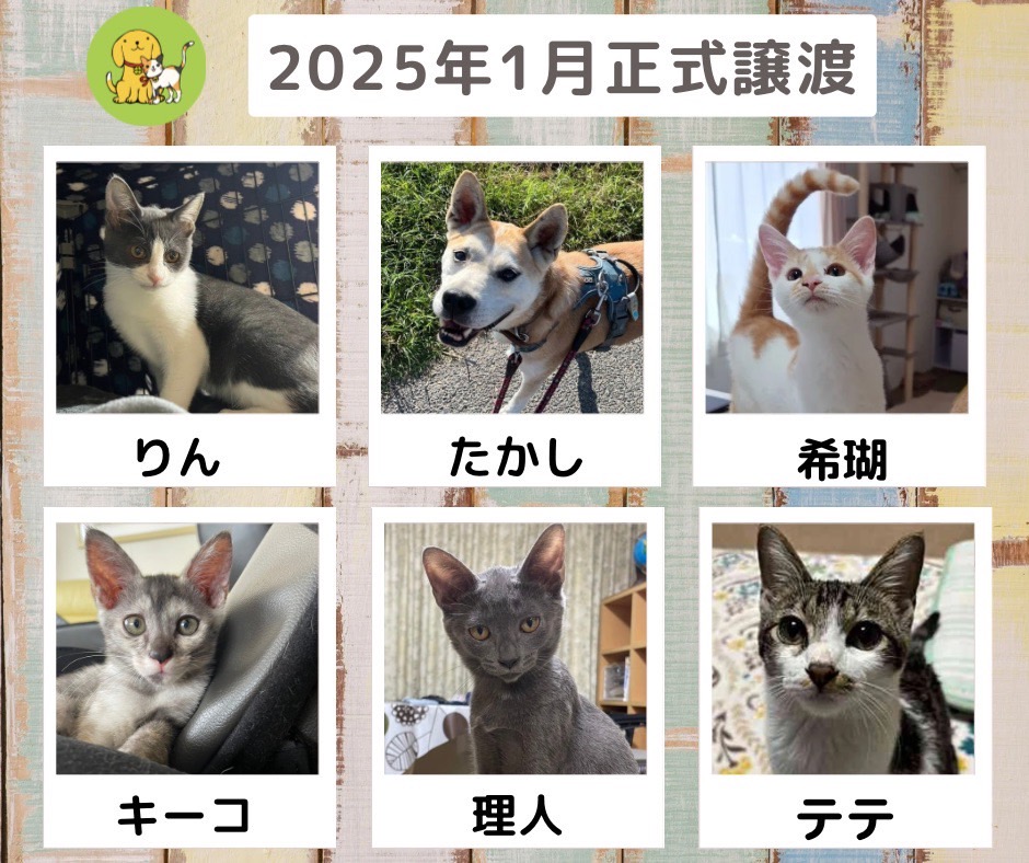 譲渡報告　2025年1月