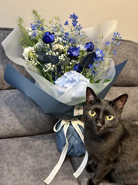 むーちゃん　うちに来て一年です！ 結婚記念日もあって、花束と一緒に撮りました！ 8/1
