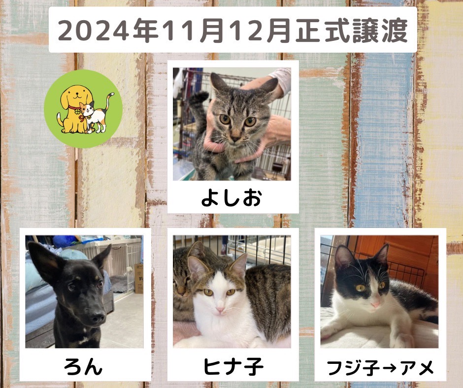 譲渡報告　2024年11月12月