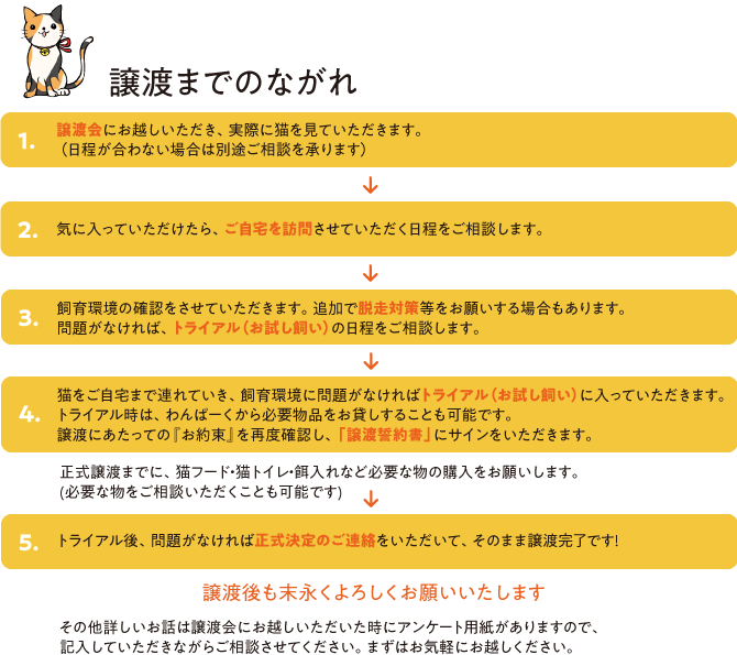 メール受信設定について 犬猫愛護会わんぱーく 岡山 譲渡会 里親 ボランティア