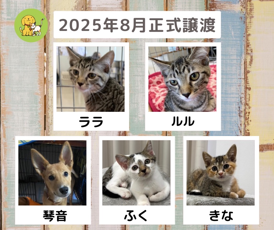 譲渡報告　2025年8月