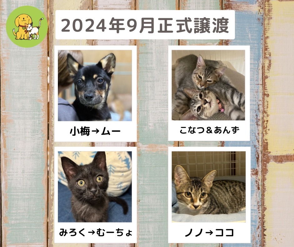 譲渡報告　2024年9月
