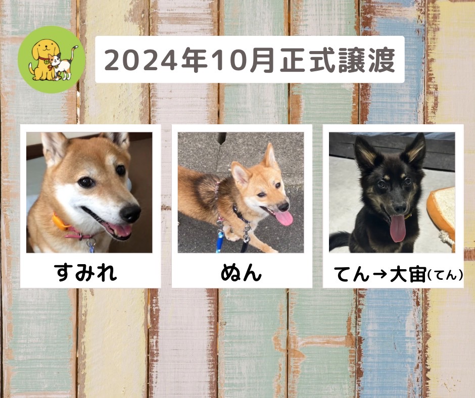 譲渡報告　2024年10月