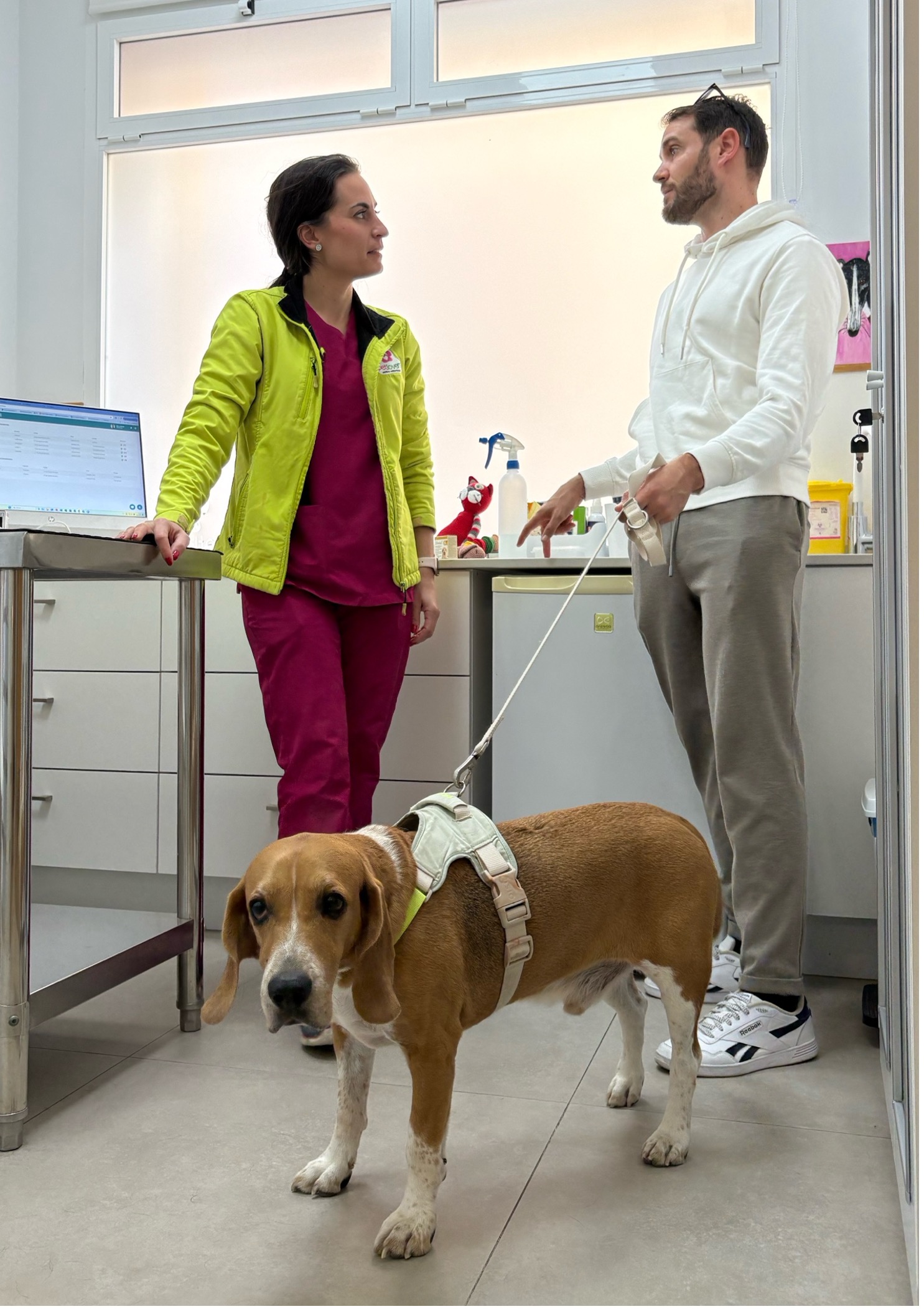 Consulta veterinaria