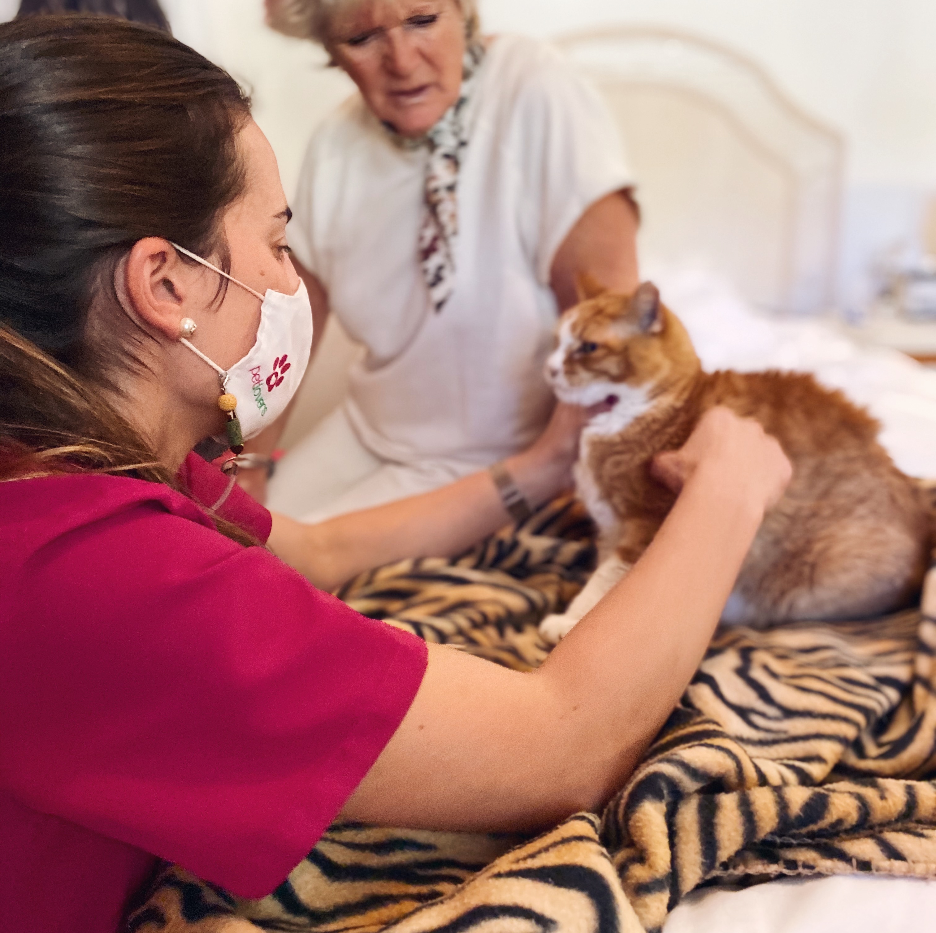Preocupación veterinaria