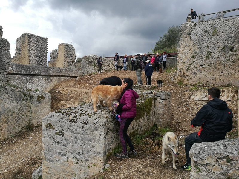 Passeggiata Archeologica a 6 zampe - Terme di Tito Flavio Vespasiano - Aprile 2019