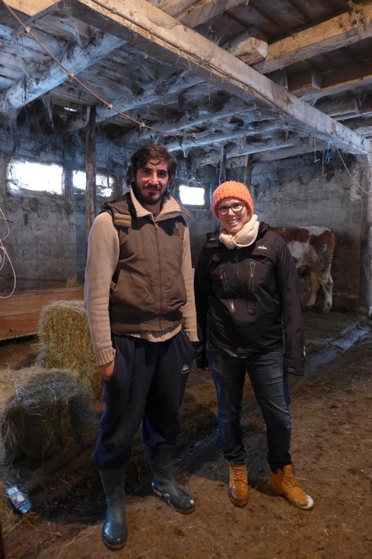 The owner of the horses
