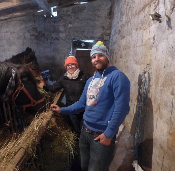 Holzrückepferde in ihrem Stall