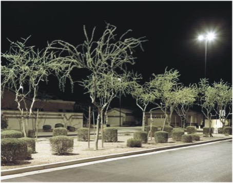Andrew Phelps, Ausstellung, "Higley", 2010