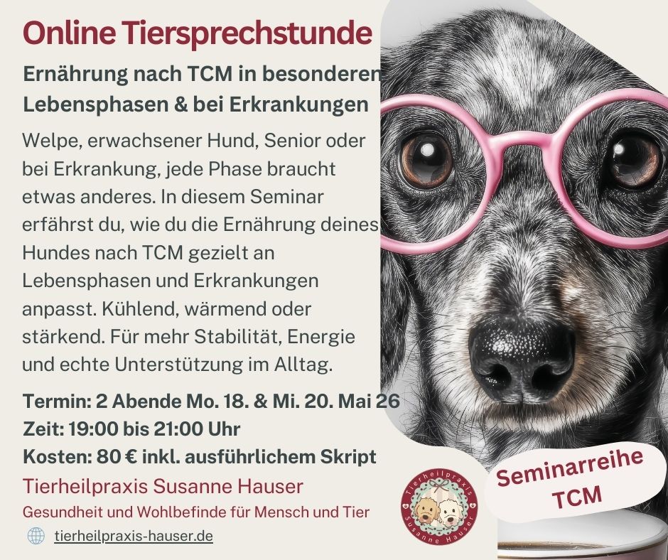 Ernährung nach TCM in besonderen Lebensphasen