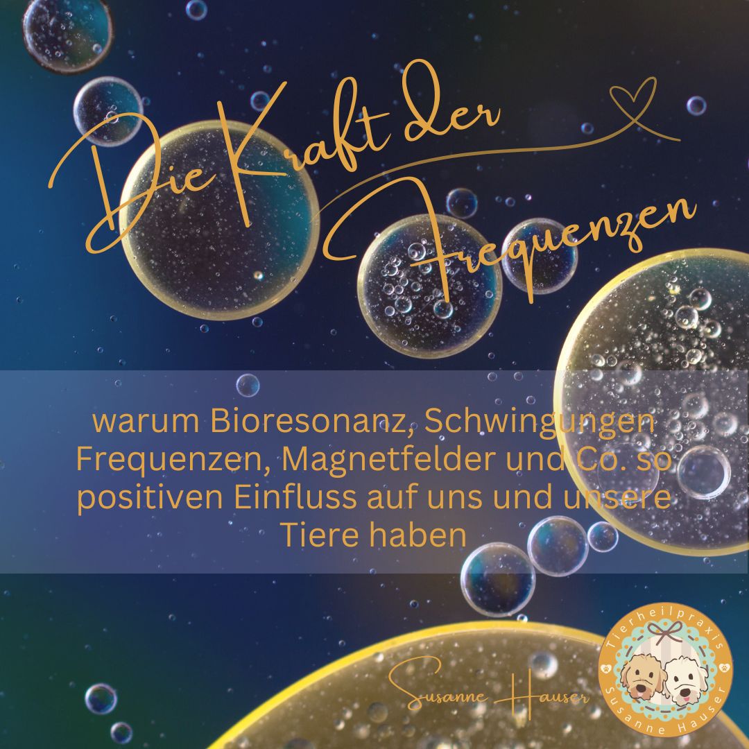Die Kraft der Frequenzen