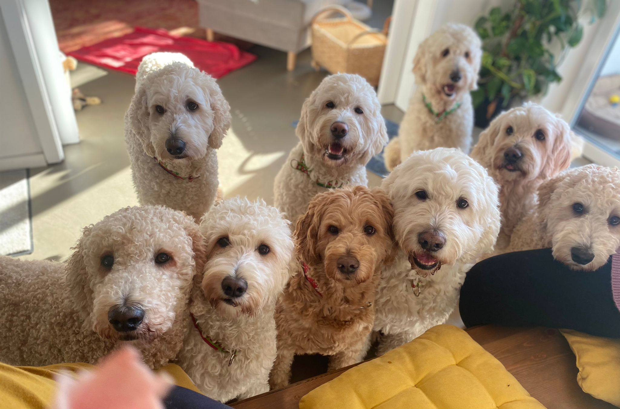 Die Doodlefamilie wartet auf den nächsten Termin