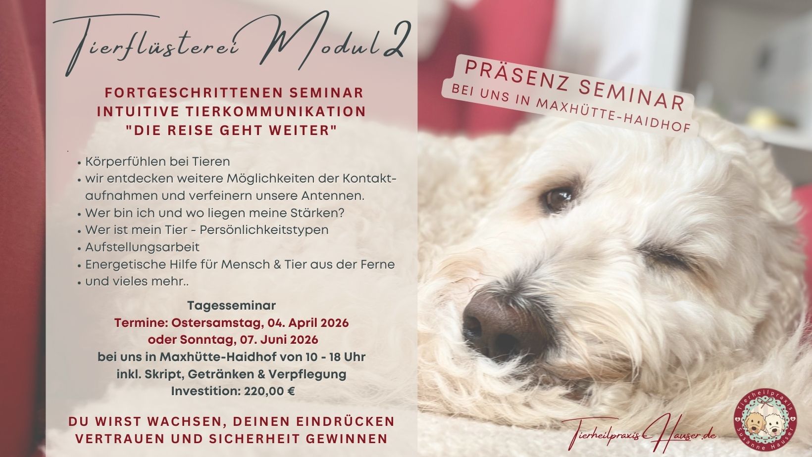 Tierkommunikation Modul 2