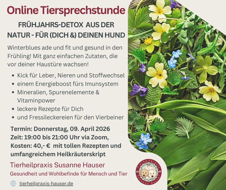 Detox - Frühlingsfit 