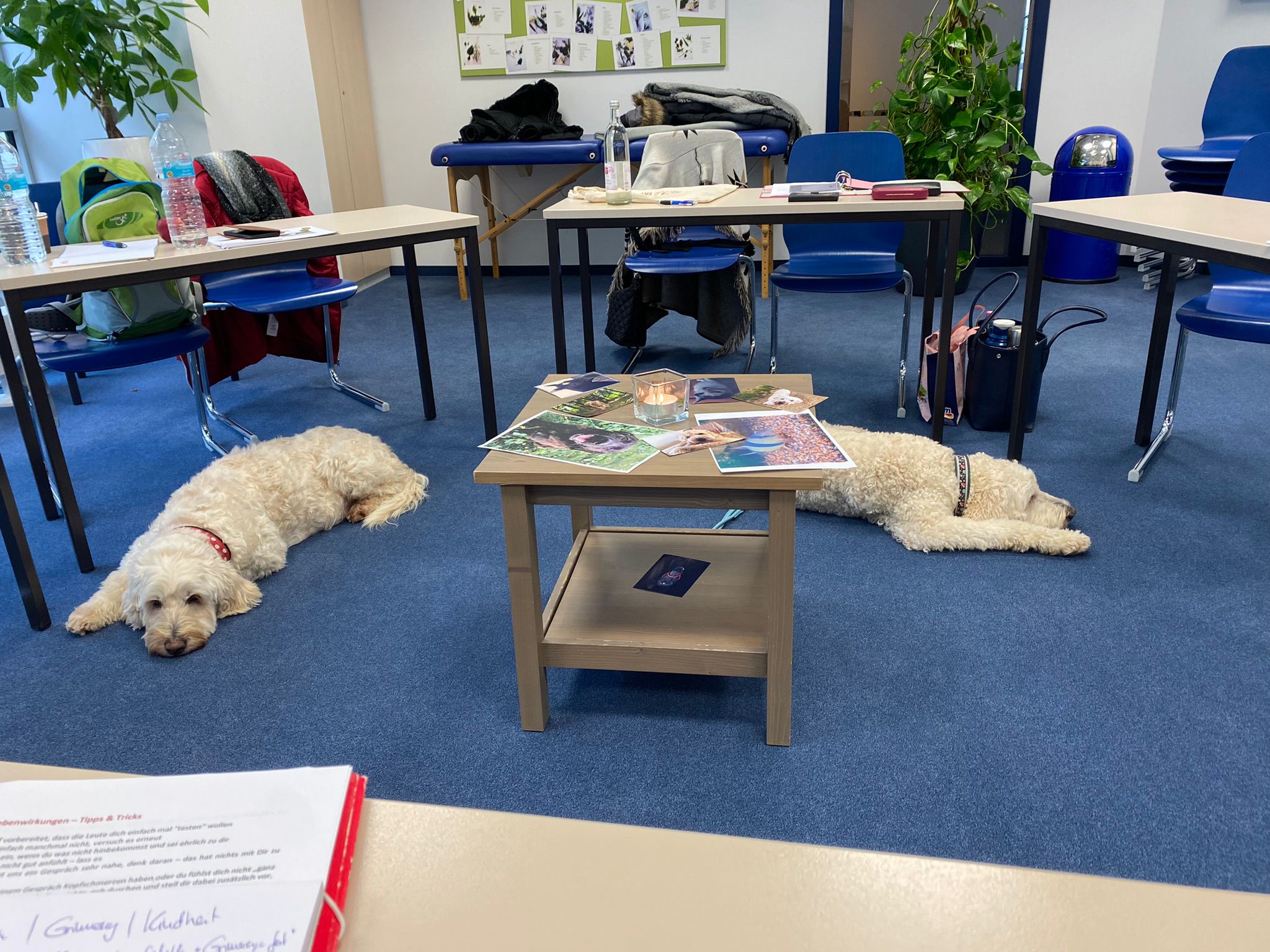Seminare an der Paracelsus Schule in Regensburg - da simma dabei!