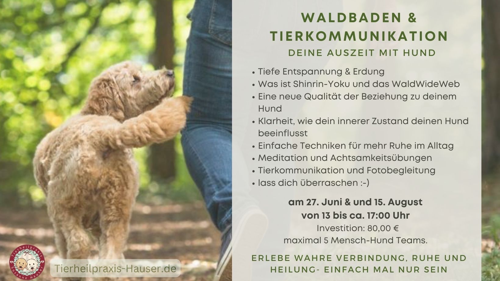 Waldbaden mit Hund