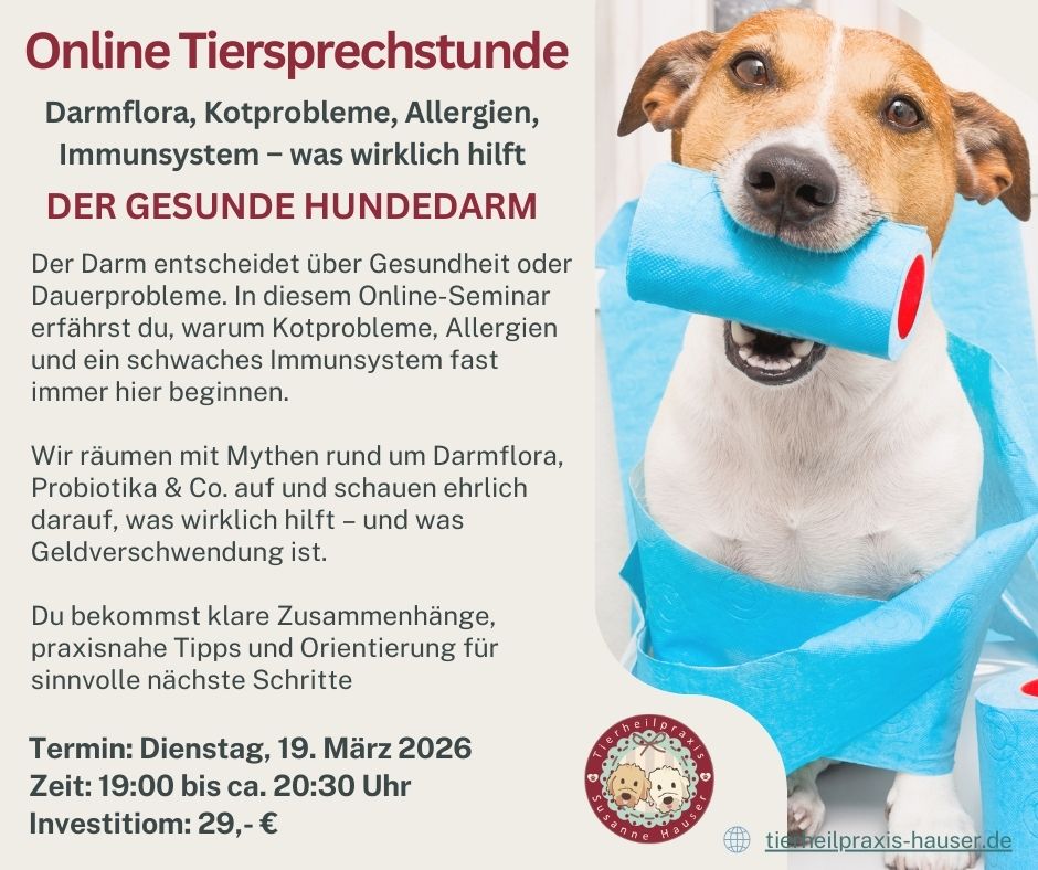 Der gesunde Hundedarm 