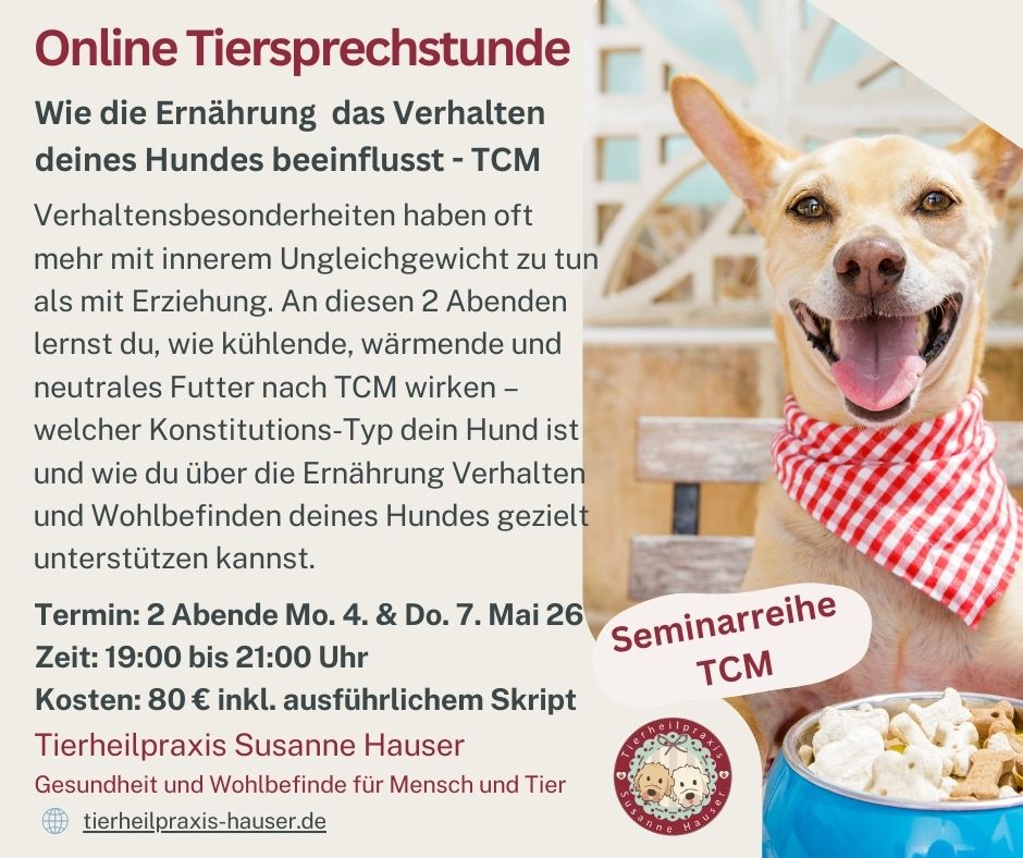 Verhalten und Ernährung nach TCM
