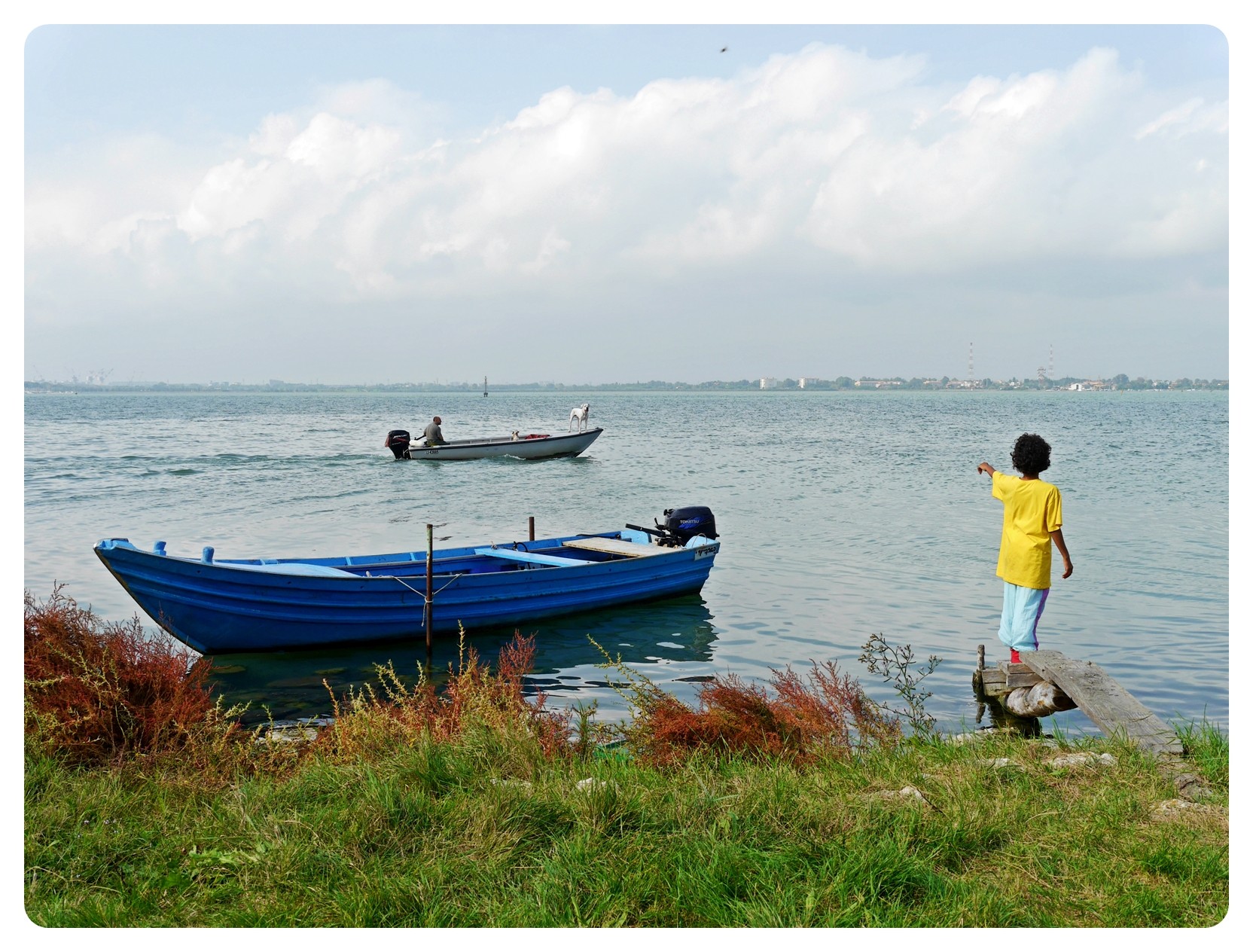 isola di Campalto UNITA Benvenuti su campaltoinacqua!