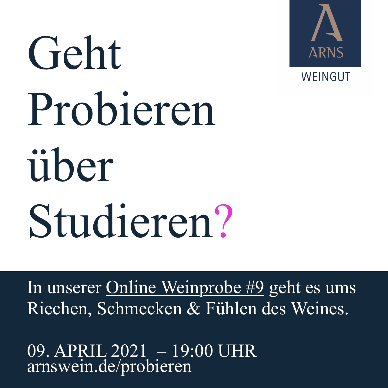 Online Weinprobe #9 – Geht Probieren über Studieren?