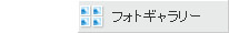フォトギャラリー