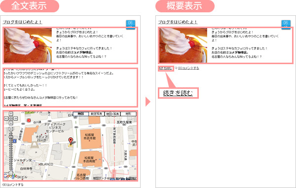 全文表示と概要表示