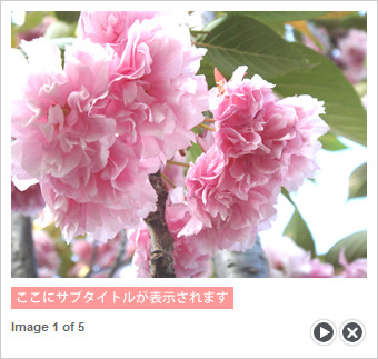 写真の表示画面