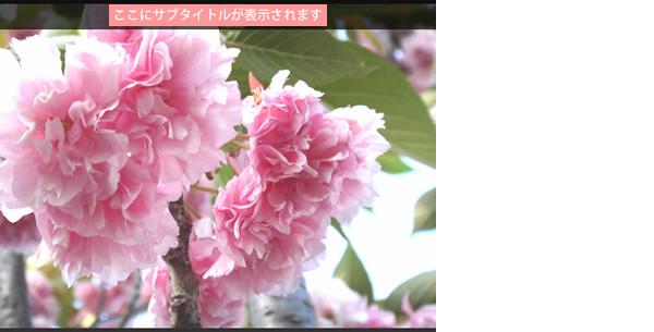 スライドショー