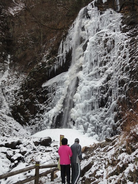 真ん中が流れ始めている、今年最後の氷瀑かも！