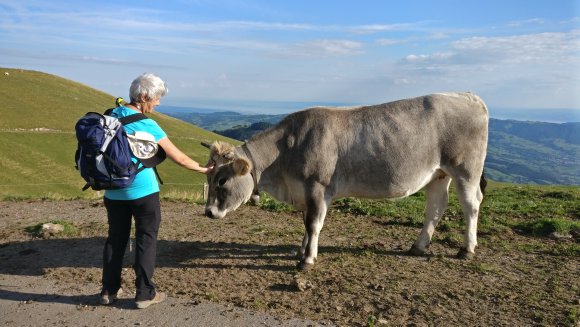 sie bekommt ihre Streicheleinheiten