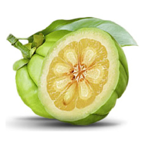 tossicità dell estratto di garcinia cambogia