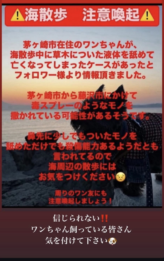 海岸でお散歩する方へ
