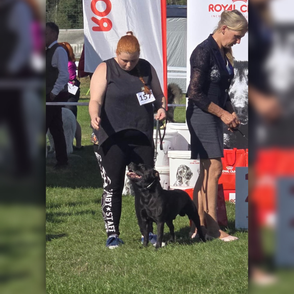 CACIB Lendava 2024 (Im Ehrenring)