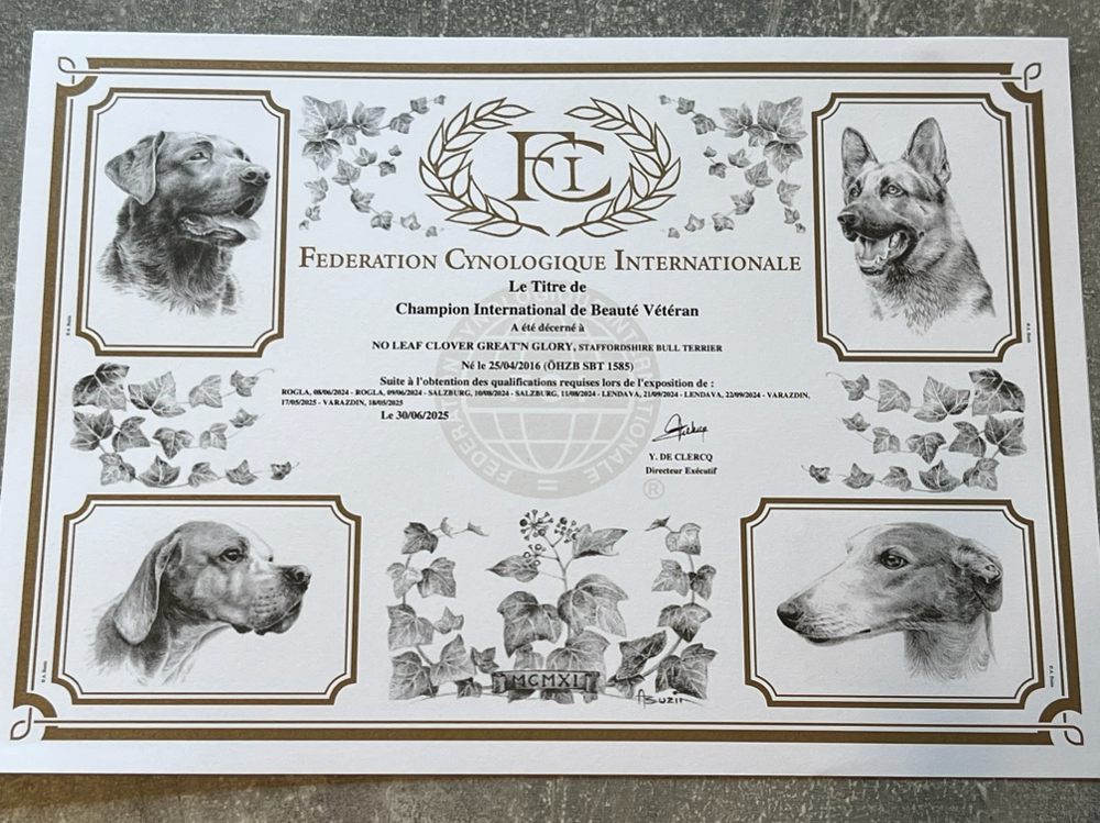 Ich bin so mega stolz 🤩❤️