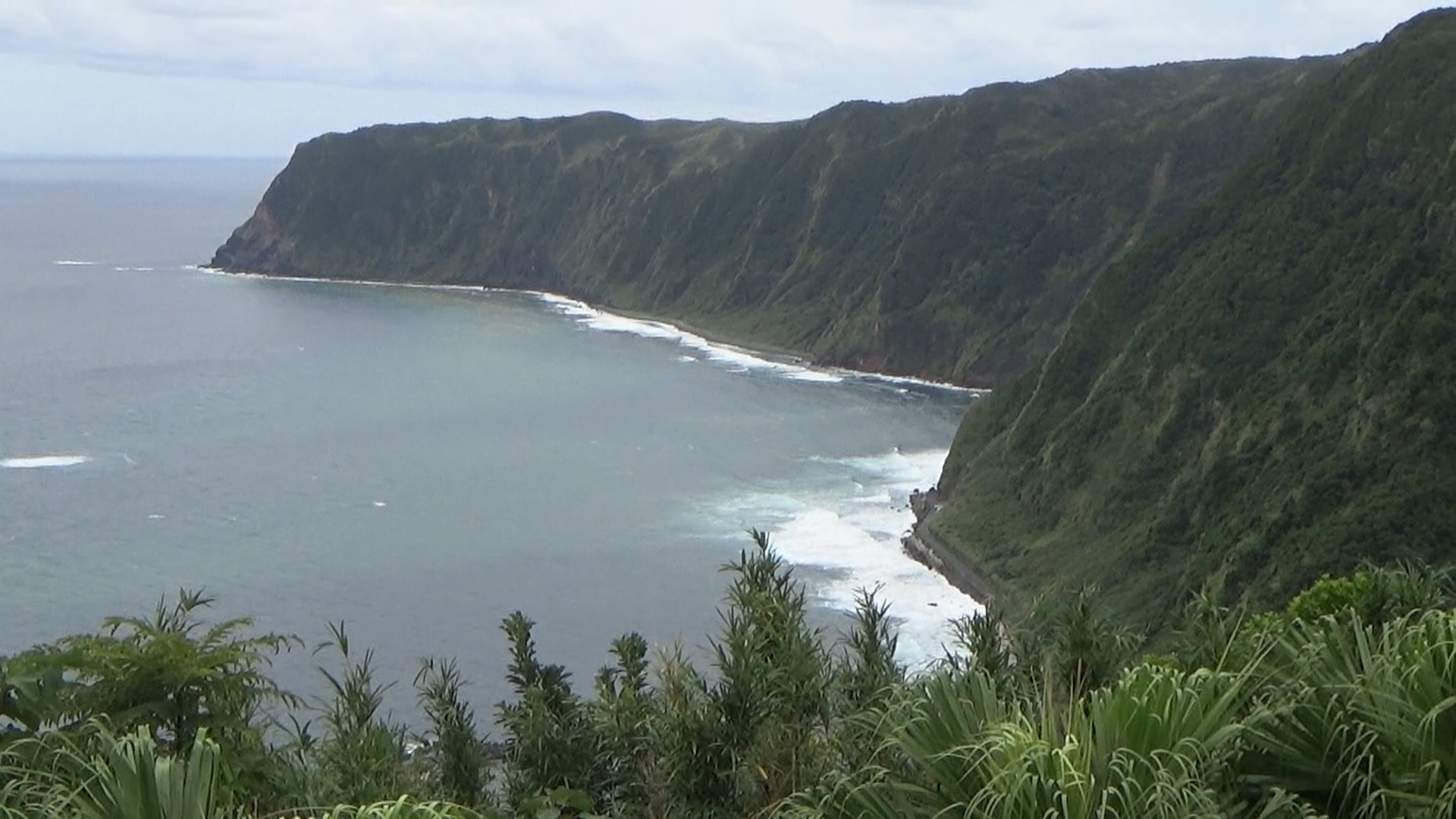 名古の展望、太平洋に向かう断崖絶壁