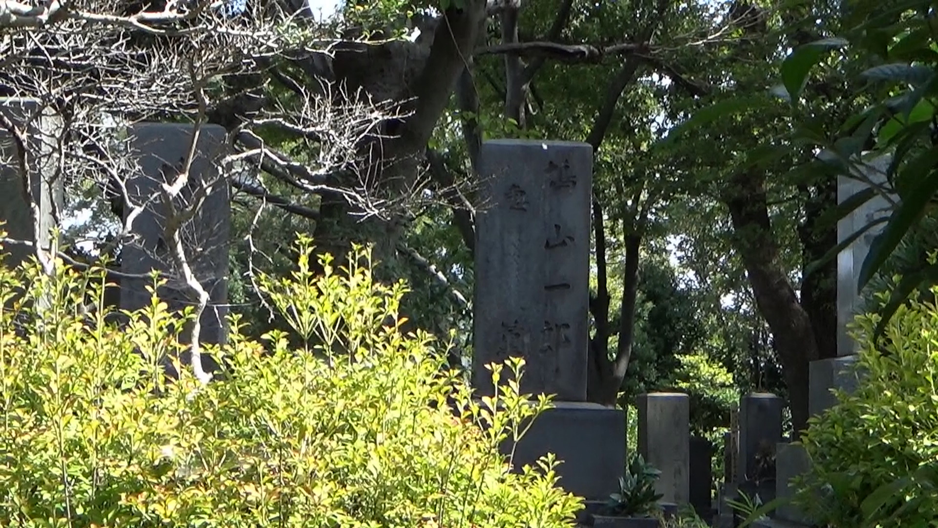 鳩山家の墓