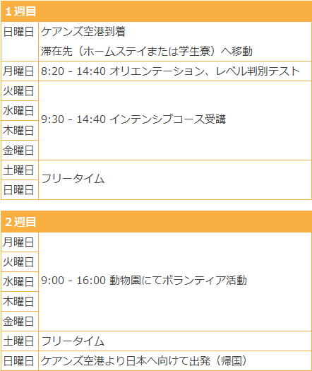 英語＋動物園ボランティア スケジュール