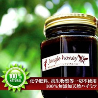 天然ハチミツジャングルハニー はちみつの栄養効果