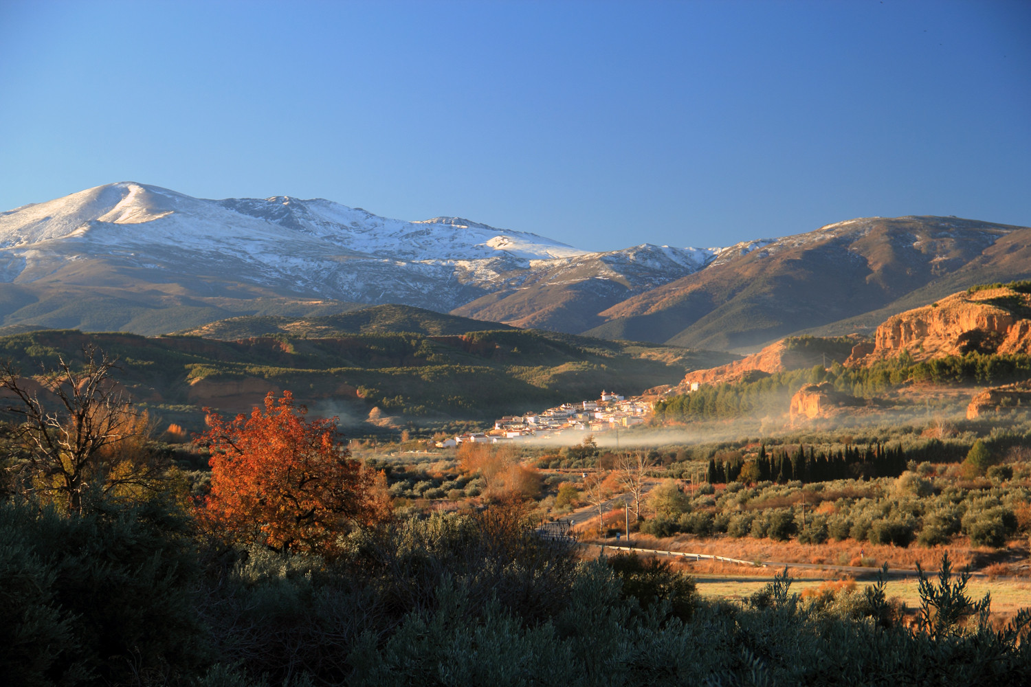 "Early Morning" - Marquesado de Zenete, Granada - LS04266