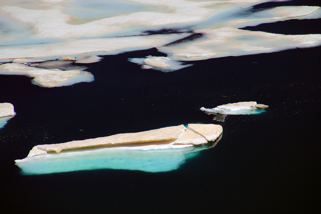 The Ice Floe" - PN Sierra Nevada - DF09339