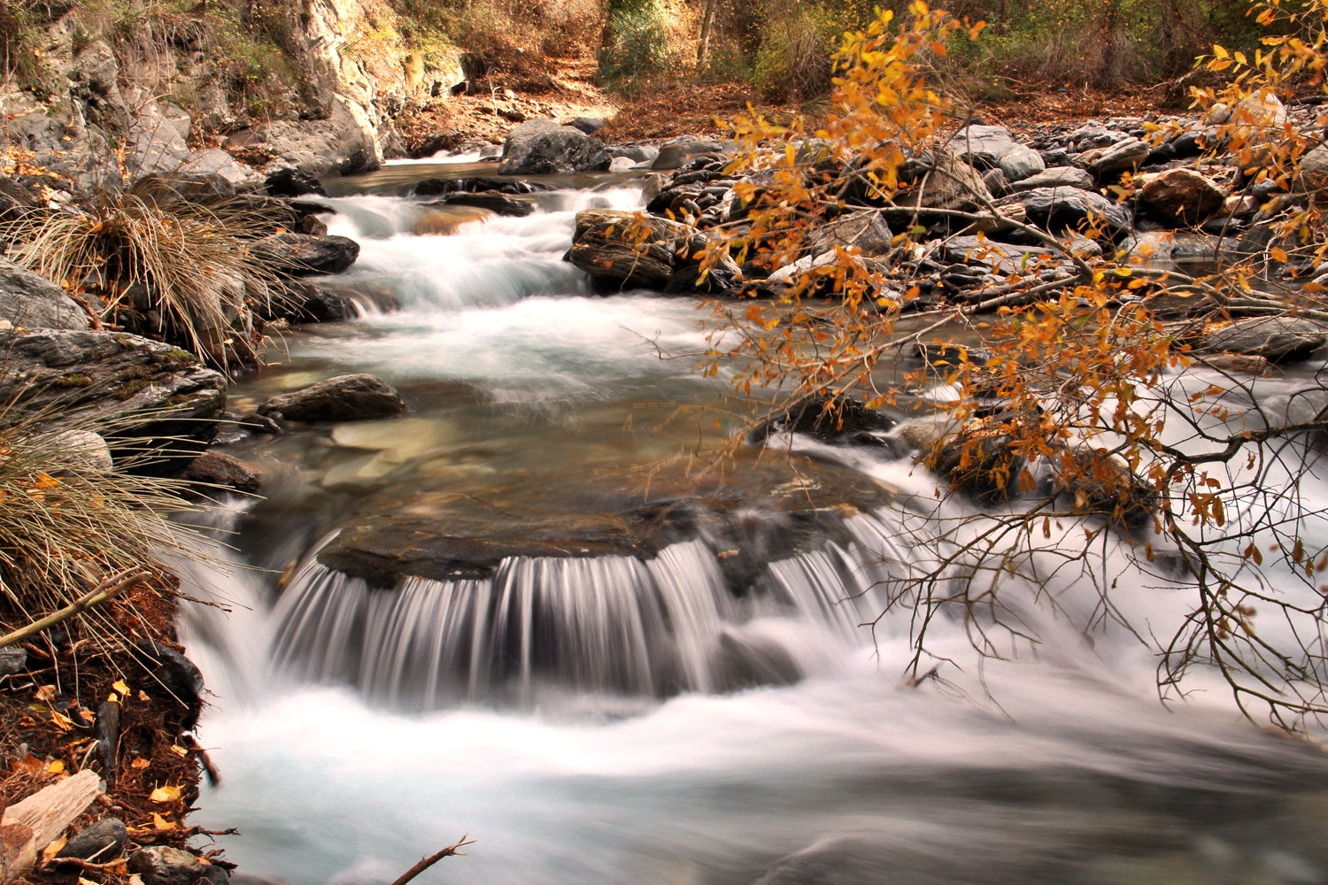 "Rio Genil" - PN Sierra Nevada, Granada - R03516