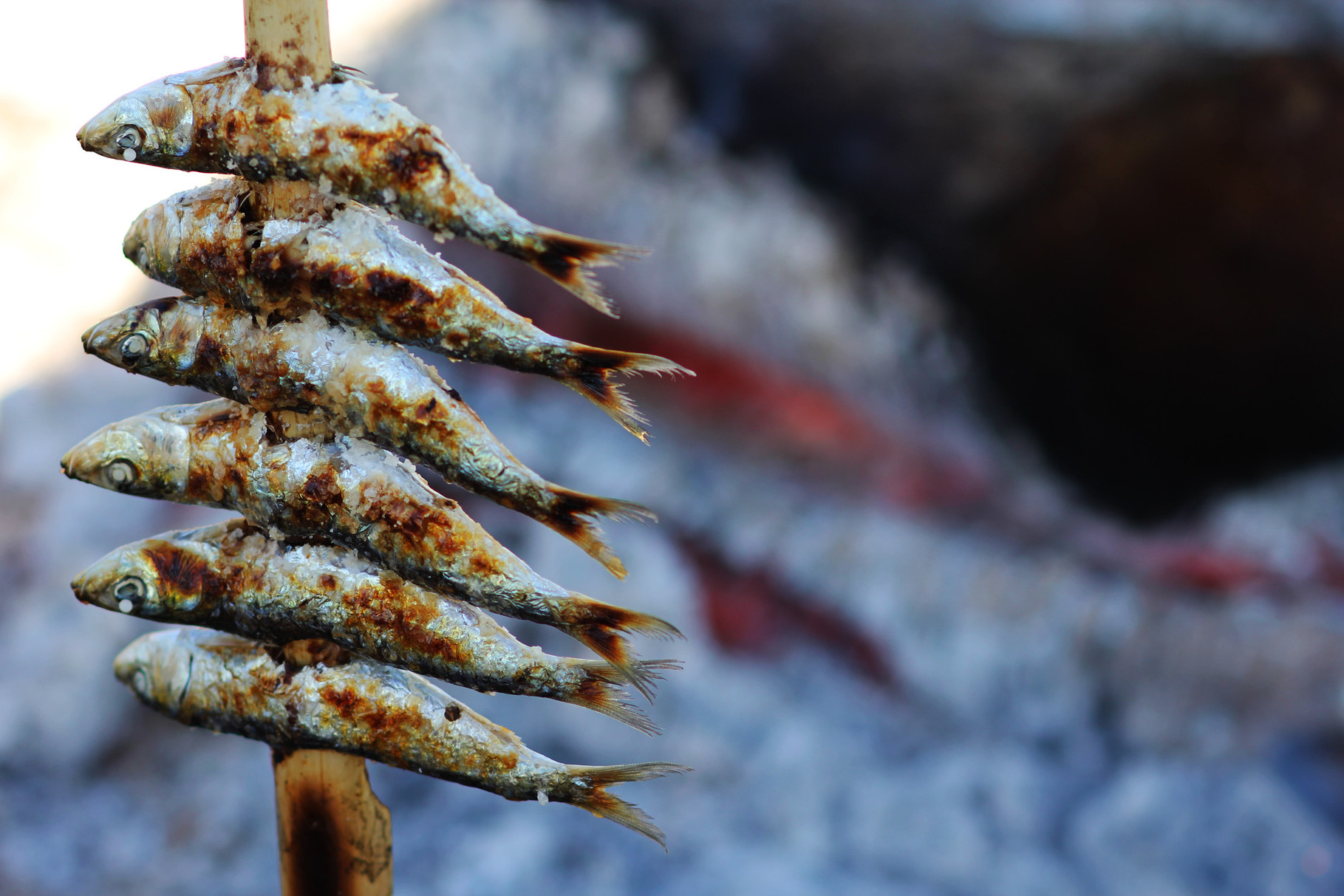 "The 6 Sardines" - Granada Coast - F09405