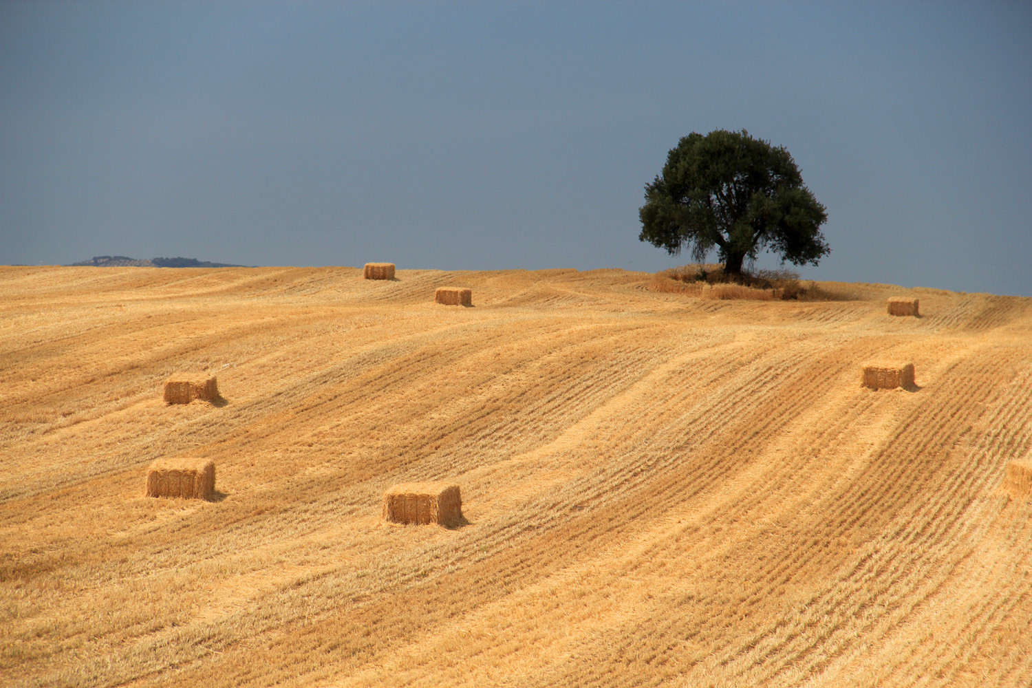 "The Hay Bales" - Fuensanta, Granada - LS01387