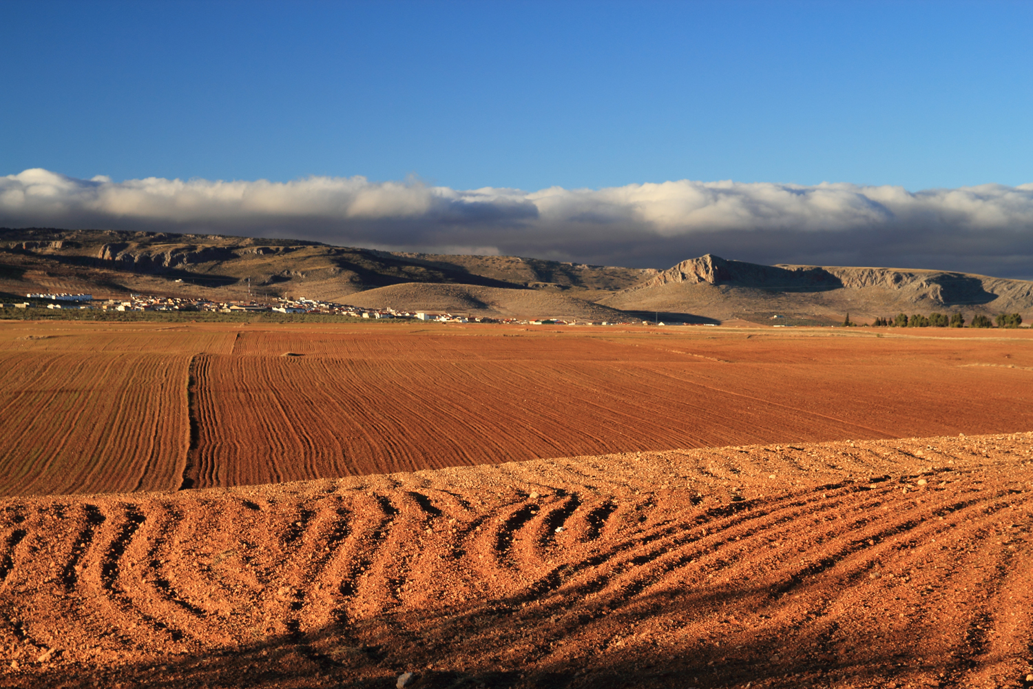 "Redlands" - Guadix, Granada - LS04622